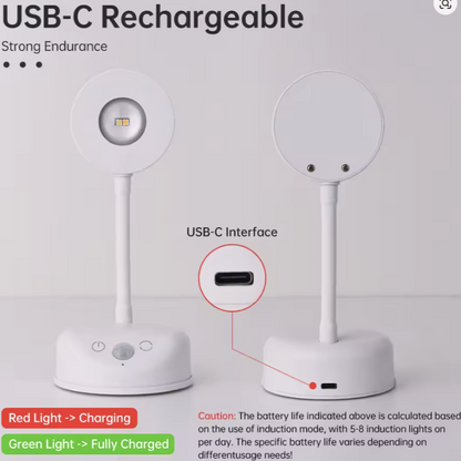 Focusmelo Lighting